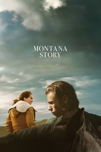 Poster de Montana Story