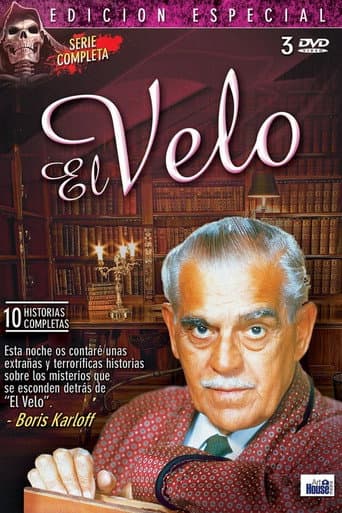 Poster de El velo