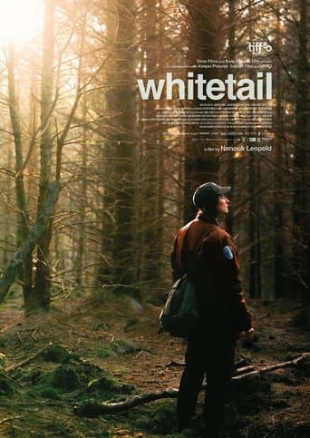 Poster de Whitetail
