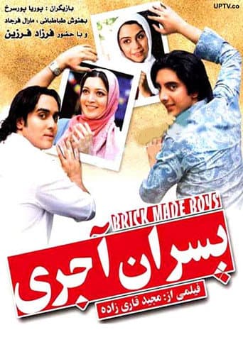 Poster de brick boys