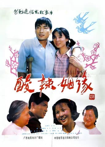 Poster de 酸辣姻缘