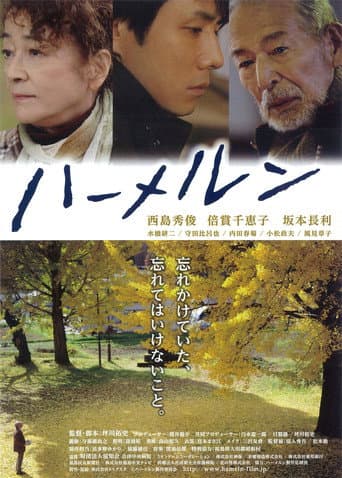 Poster de ハーメルン