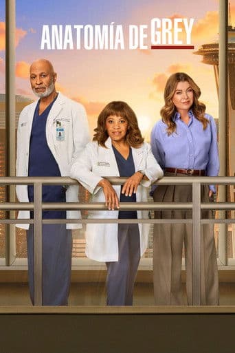 Poster de Anatomía de Grey