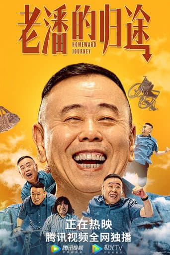 Poster de 老潘的归途
