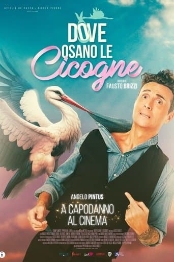 Poster de Where Storks Dare