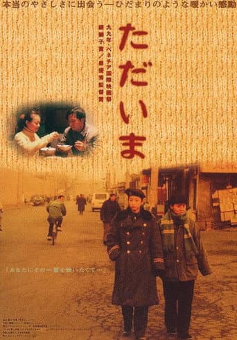 Poster de 过年回家