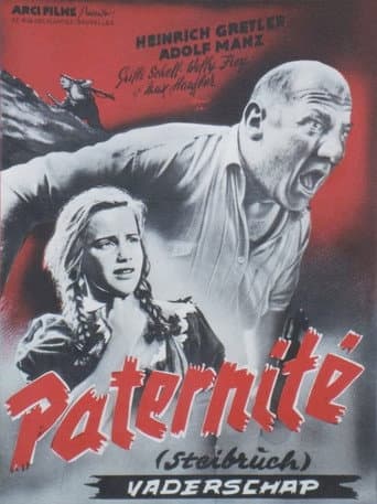 Poster de Steibruch