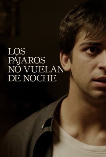 Poster de Birds Don’t Fly at Night