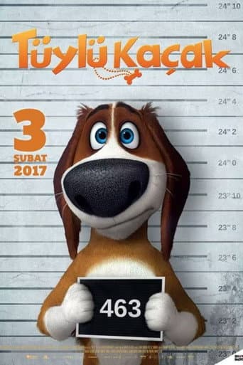 Poster de Run Ozzy Run