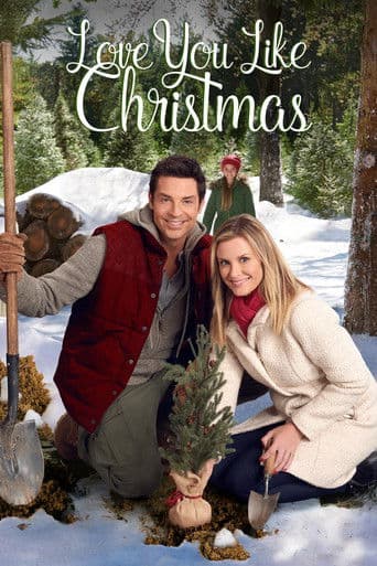 Poster de El valle de la Navidad