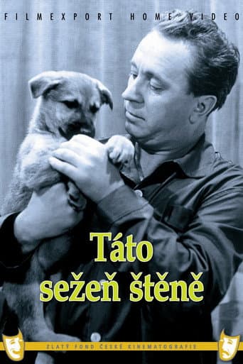 Poster de Táto sežeň štěně