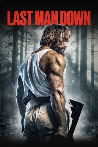 Poster de Last Man Down