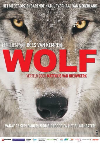 Poster de Wolf