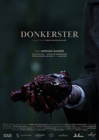 Poster de Darker