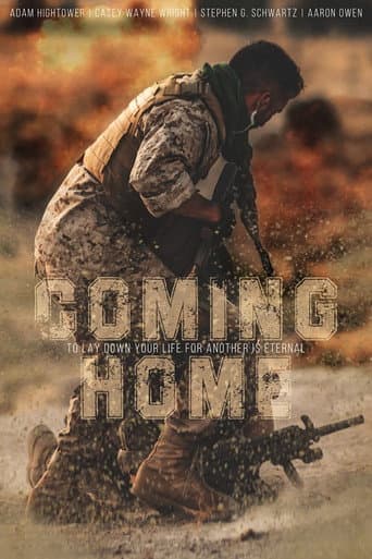 Poster de Coming Home