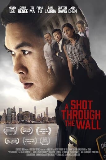 Poster de A Shot Through the Wall
