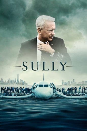 Poster de Sully