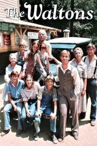 Poster de The Waltons