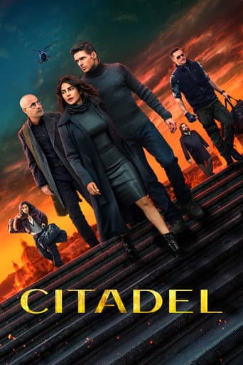 Poster de Citadel