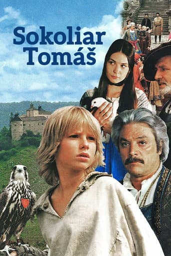 Poster de Tomáš and the Falcon King