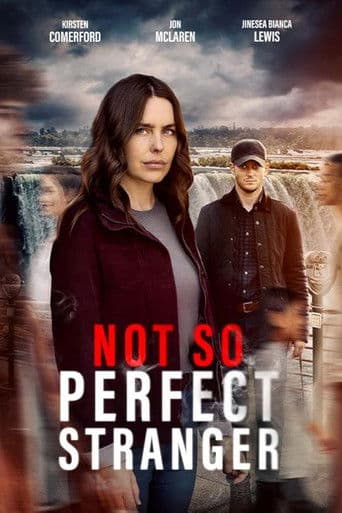 Poster de Not So Perfect Stranger