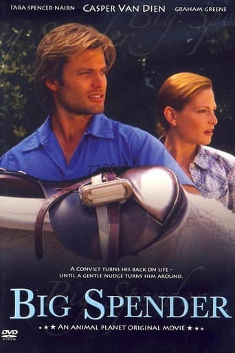 Poster de Big Spender