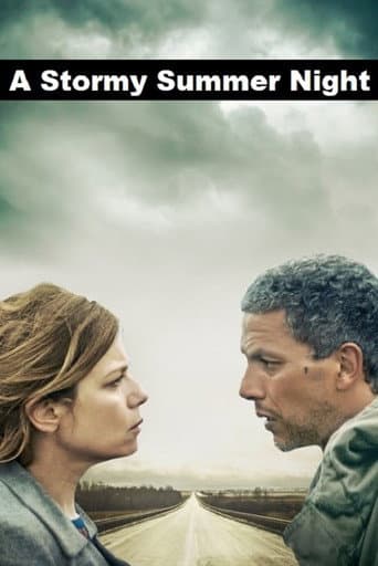Poster de A Stormy Summer Night