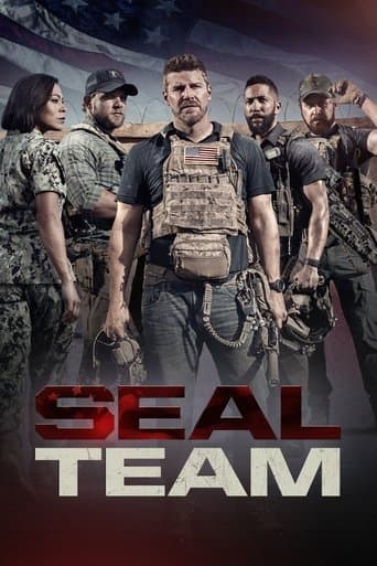 Poster de SEAL Team
