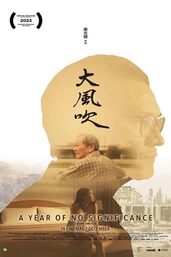 Poster de A Year of No Significance