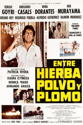 Poster de Entre Hierba, Polvo y Plomo