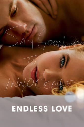 Poster de Endless Love