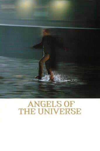 Poster de Angels of the Universe