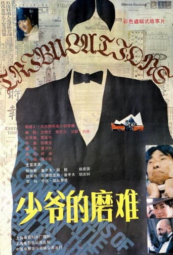 Poster de 少爷的磨难