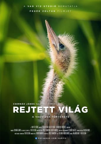Poster de Rejtett világ - A vadvizek története