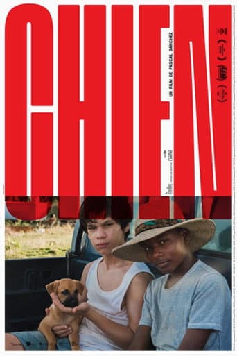 Poster de Chien