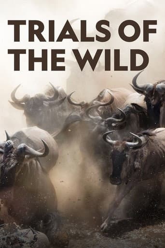 Poster de Trials of the Wild