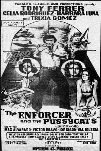 Poster de The Enforcer and the Pussycats