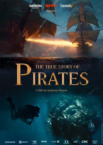 Poster de The True Story of Pirates