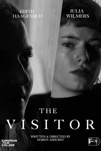Poster de The Visitor