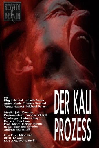 Poster de Der Kali Prozess