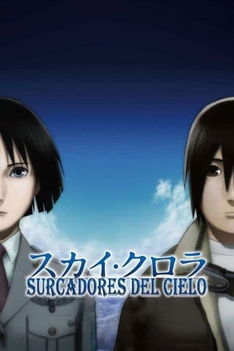 Poster de Surcadores del cielo