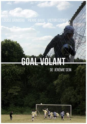 Poster de Goal Volant