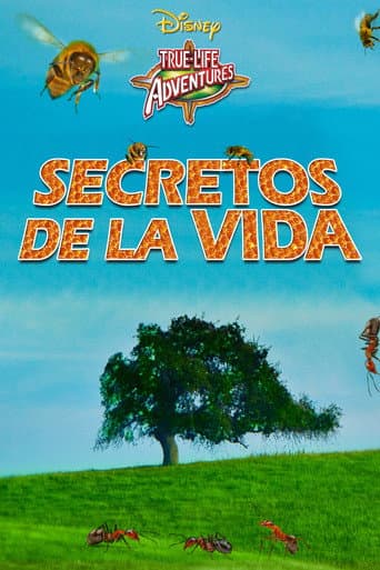 Poster de Secretos de la vida