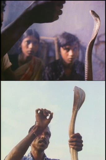 Poster de Serpent Mother