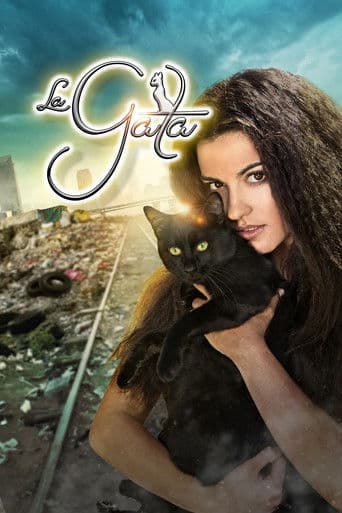 Poster de The Stray Cat