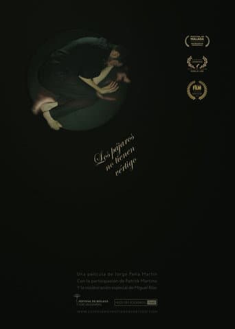 Poster de Los pájaros no tienen vértigo
