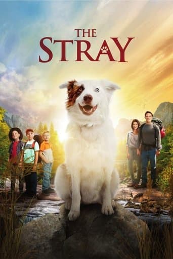 Poster de The Stray