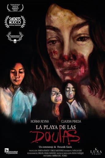 Poster de La playa de las doulas