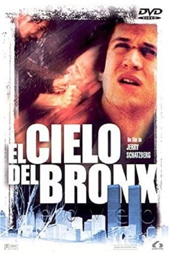 Poster de El cielo del Bronx