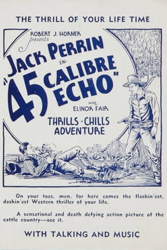 Poster de 45 Calibre Echo